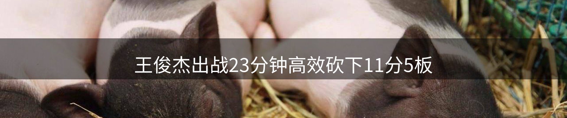 企业视角