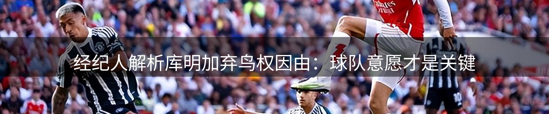 企业视角